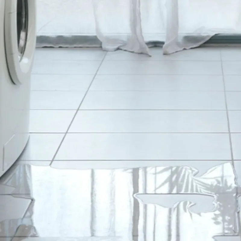 Appliance Leak Cleanup in Nacogdoches County, TX
