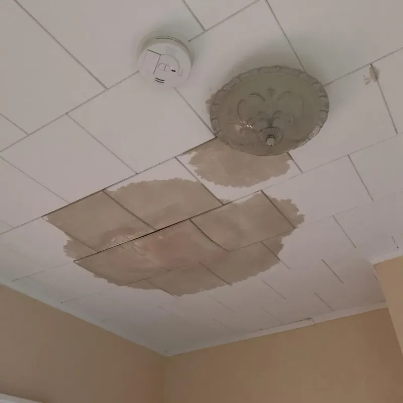 Ceiling Water Damage Repair in Nacogdoches County, TX