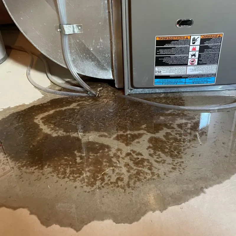 Pipe Burst and Leak Restoration in Nacogdoches County, TX