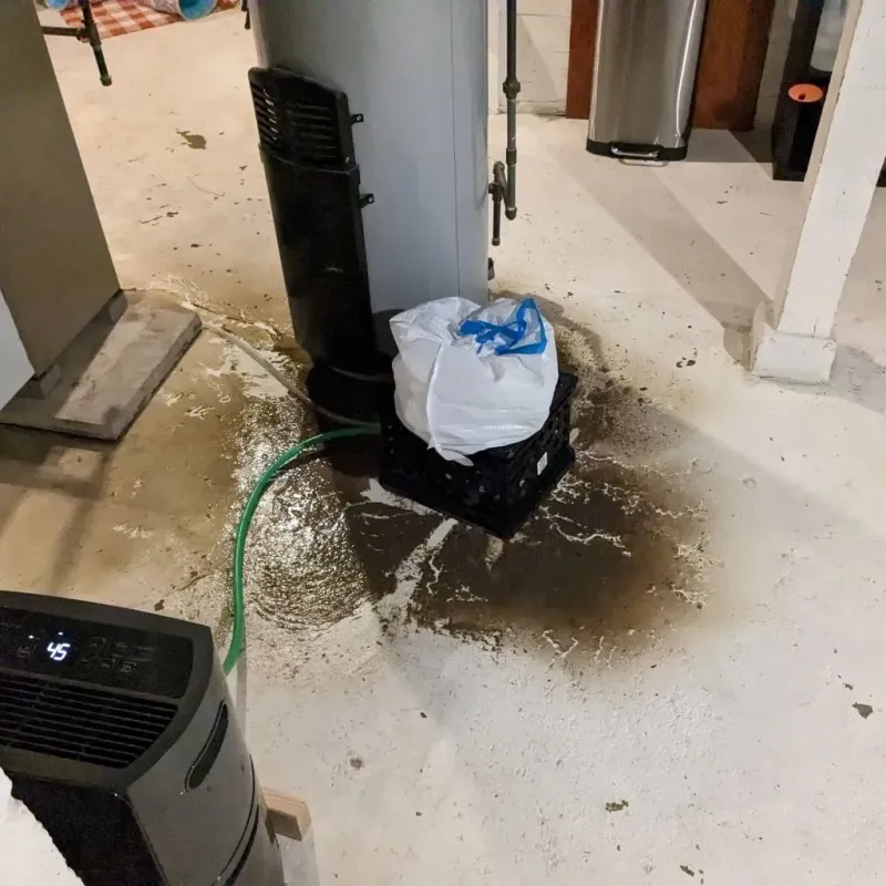 Sewage Backup Cleanup Service in Nacogdoches County, TX